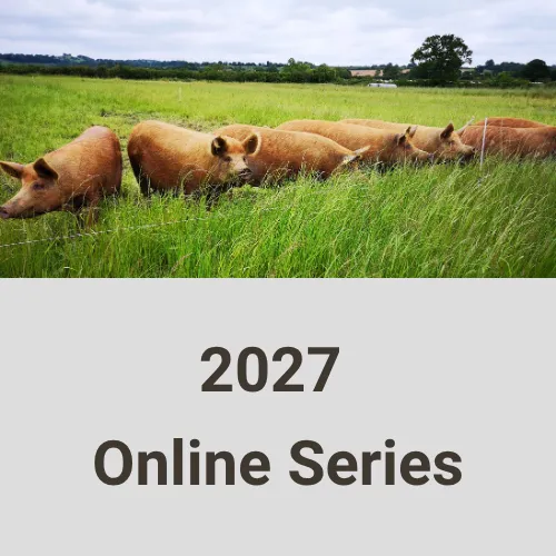 2027 Online Series Ireland