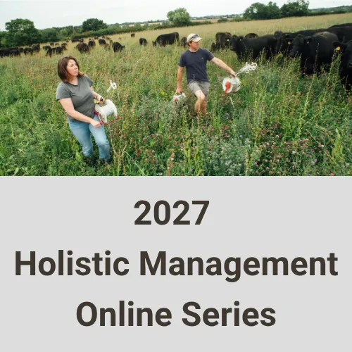 2027 Online Series Ireland