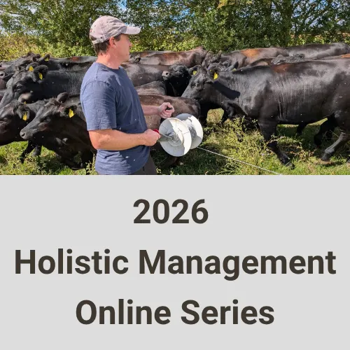 2026 Online Series Ireland