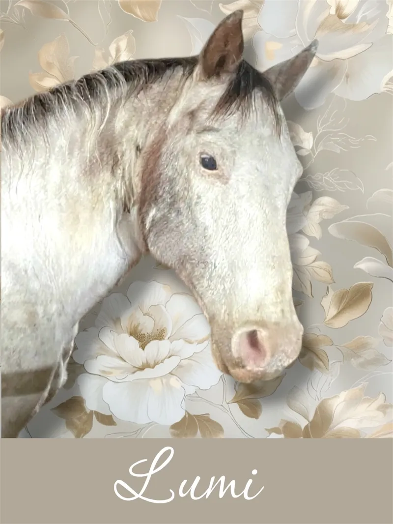  Lumi: 1993 Gray pony.