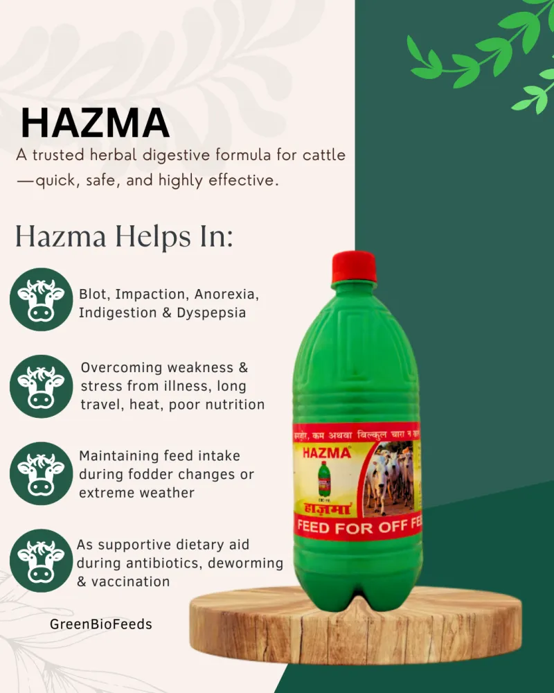 Hazma