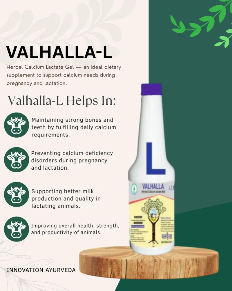 VALHALLA L 