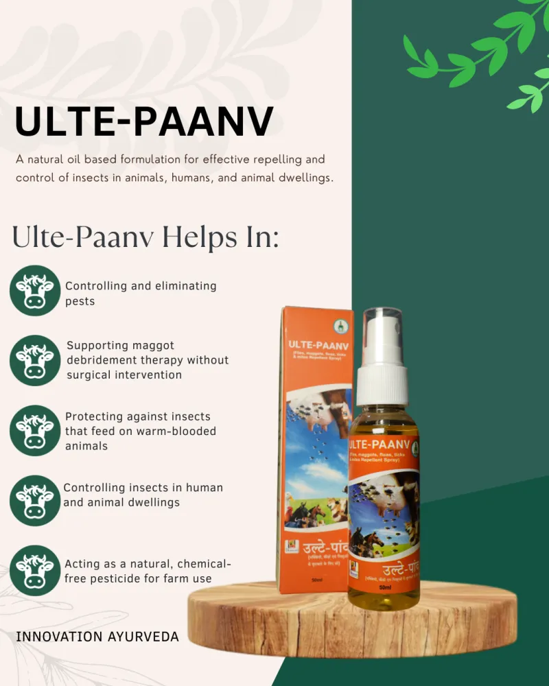 ULTE PAANV