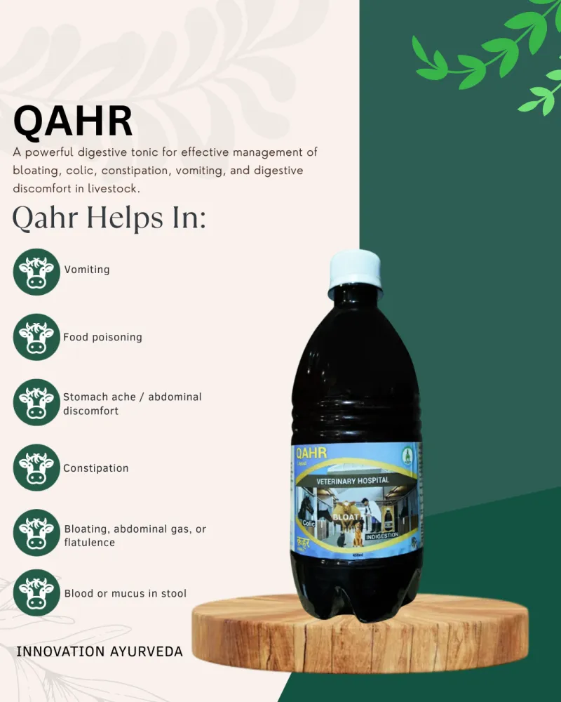 QAHR