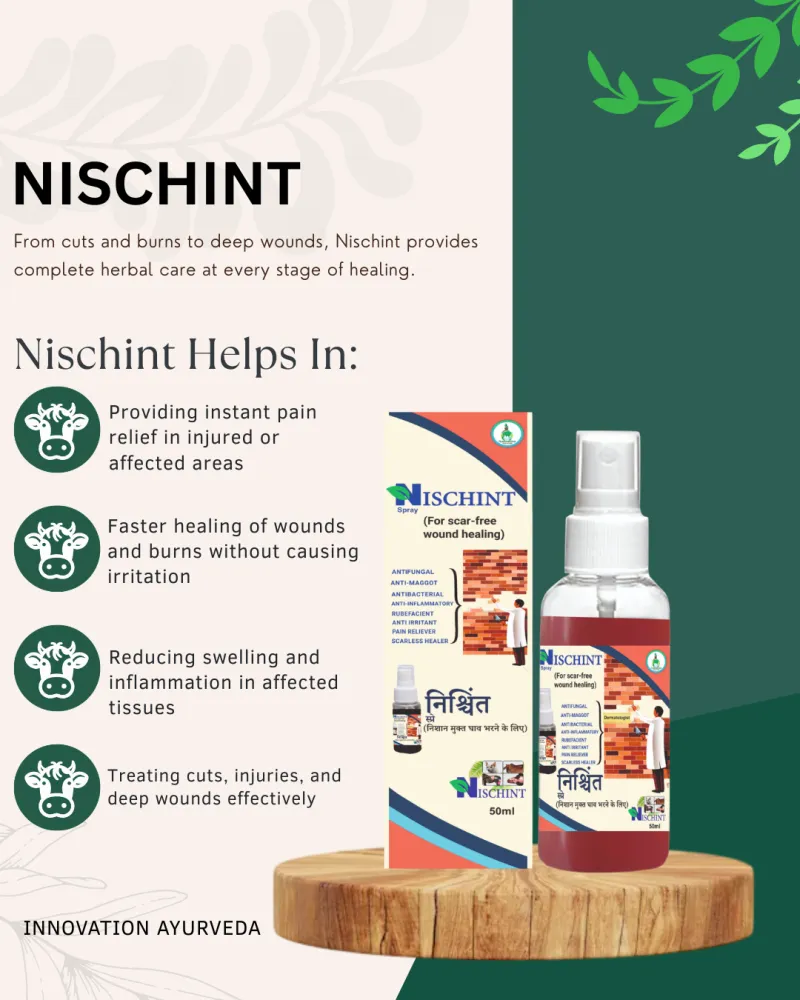 NISCHINT