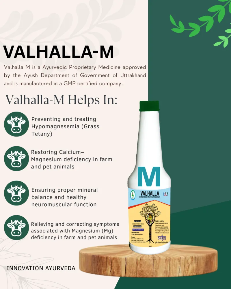 VALHALLA M
