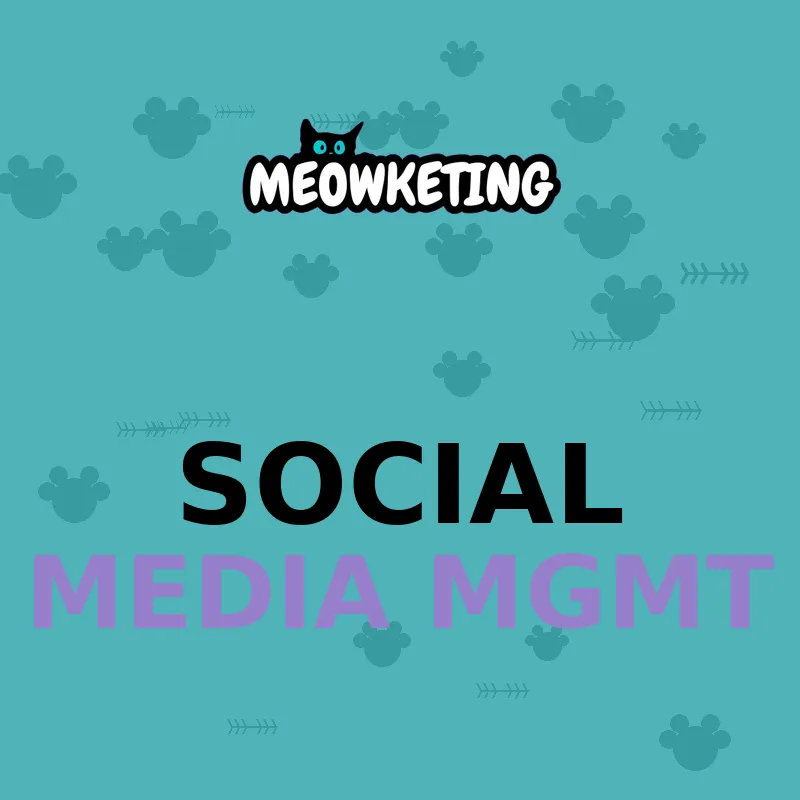 Social Media Management