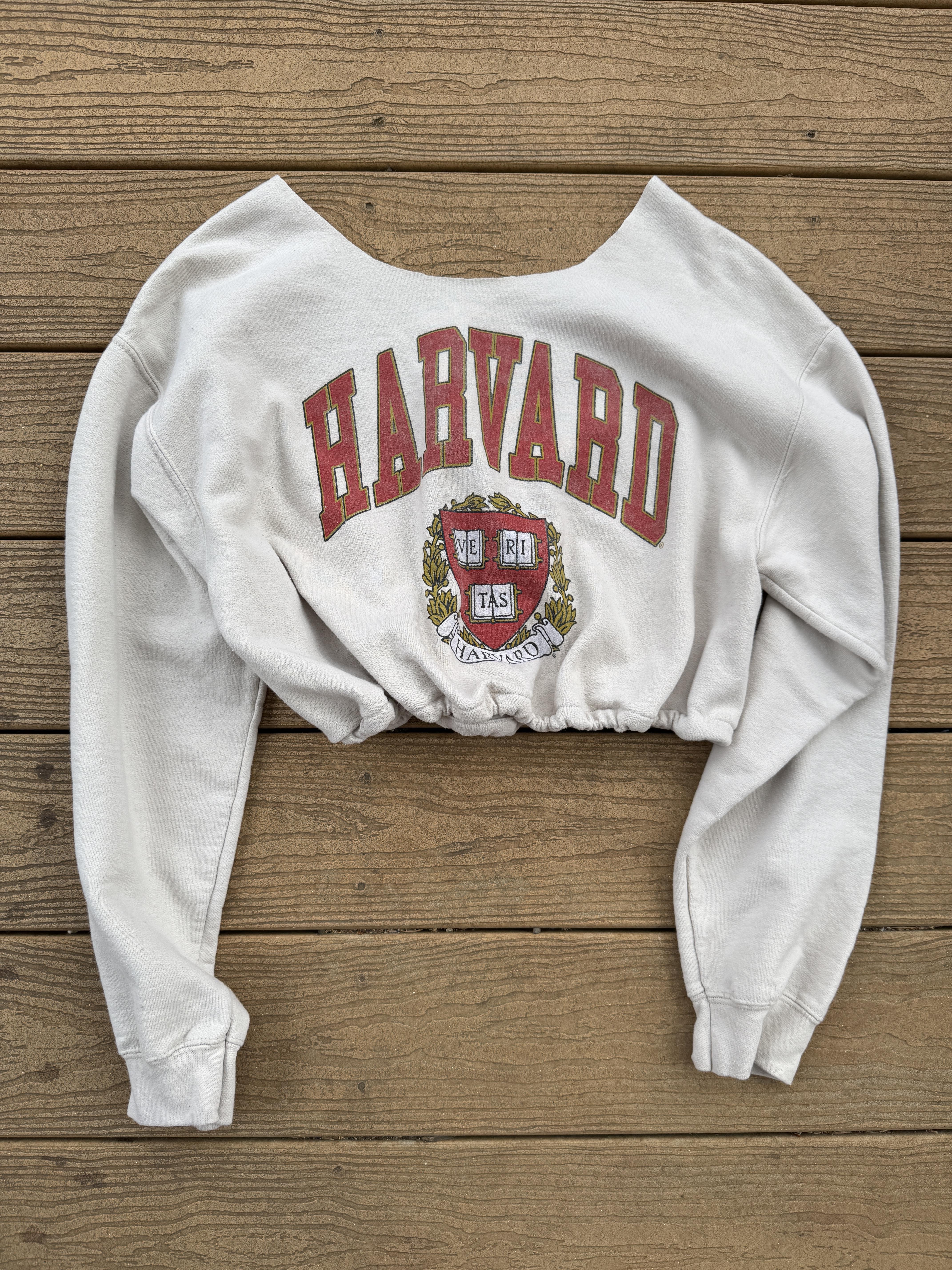 Harvard Crop  Vintage sweatshirt medium