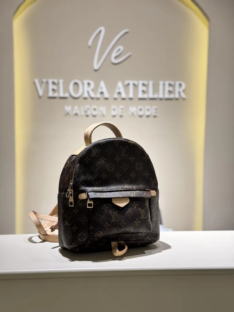 Louis Vuitton Backpack  