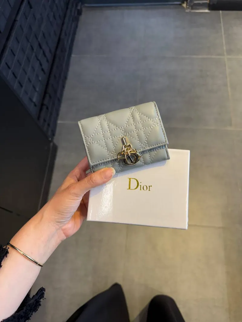 Dior Veronia Baby Blue Wallet