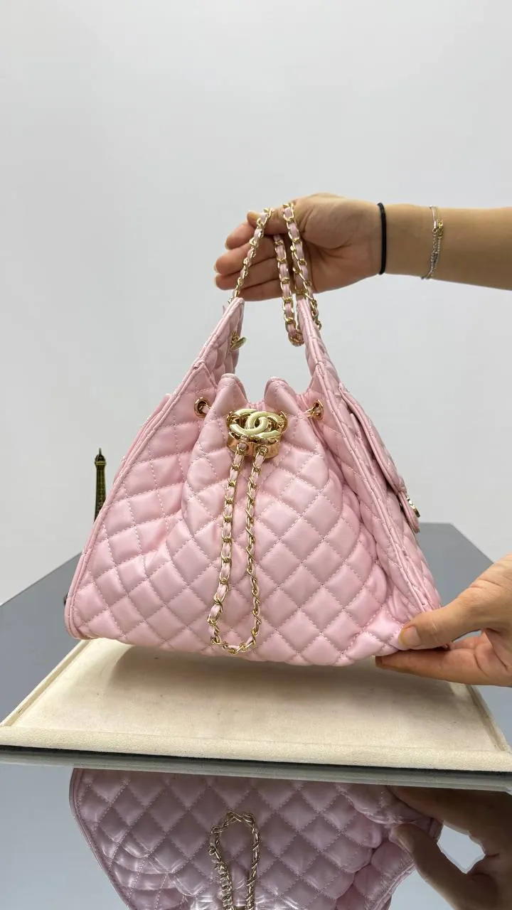 Chanel 25 Hobo Bag Multicolor 
