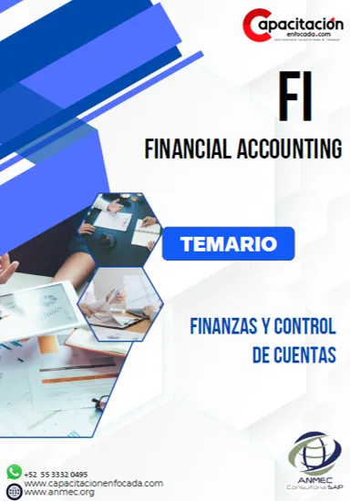 FI - Finanzas y Control de cuentas