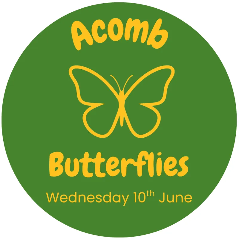 Butterflies (10.06.26 - 10am)