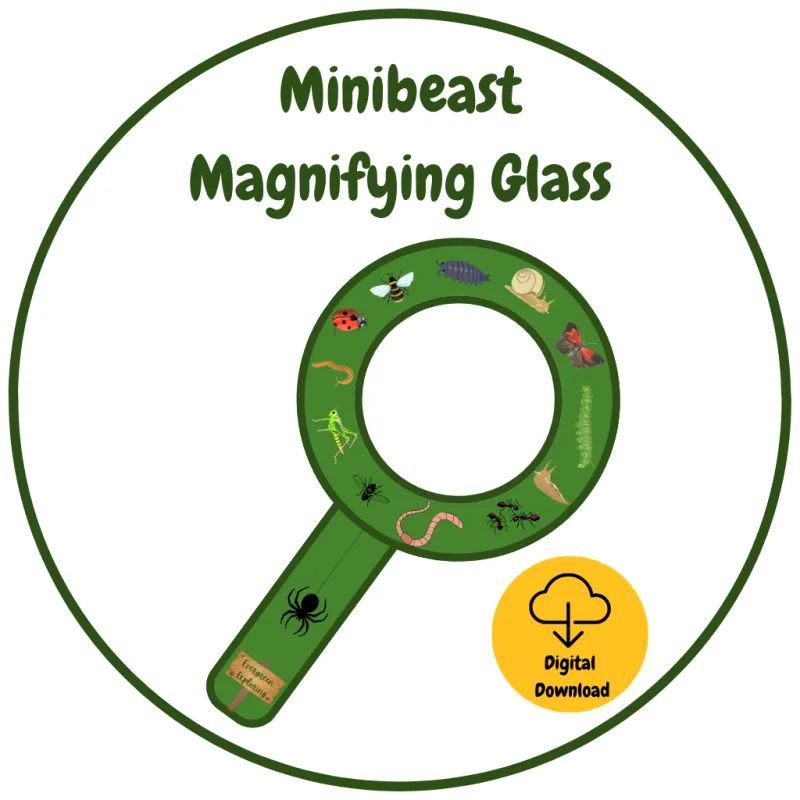 Minibeast Magnifying Glass