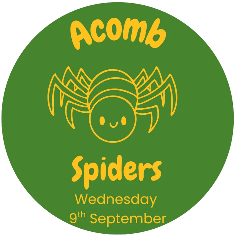 Spiders (9.9.26 10am)