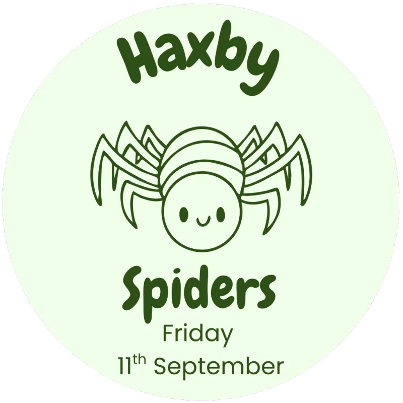 Spiders (11.9.26 10am)