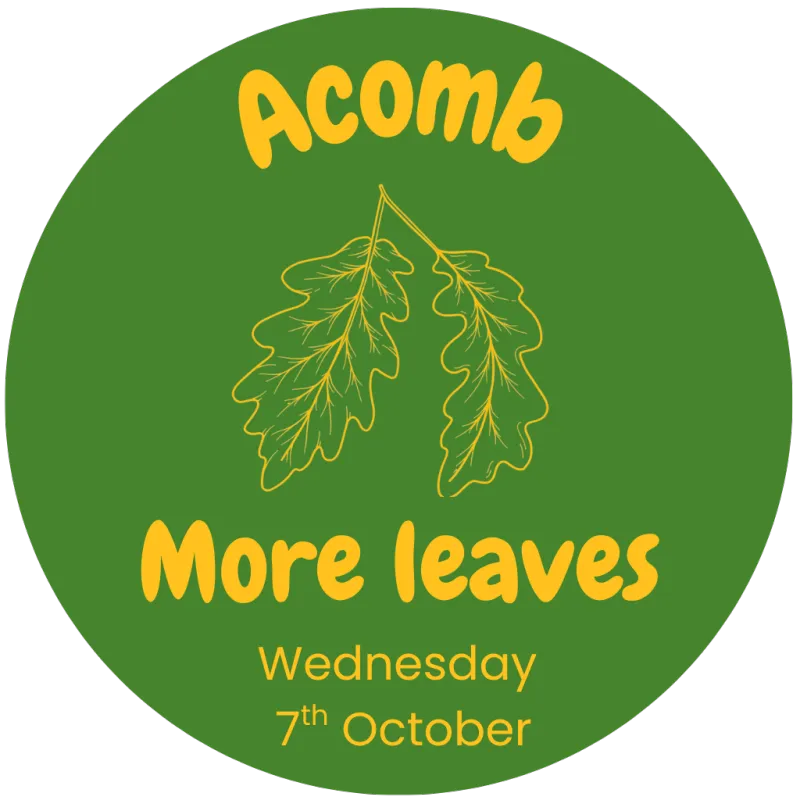 More leaves! (7.10.26 10am)