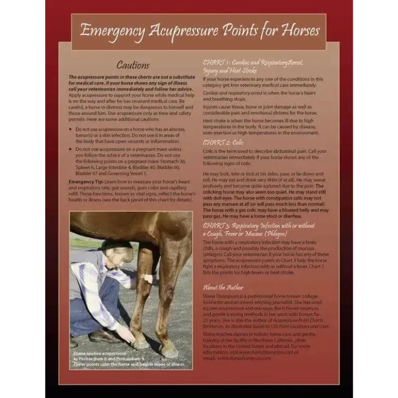 Six-Page Laminated Chart: Emergency Acupressure Points for Horses 