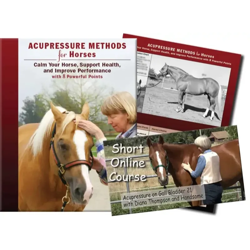 Short Online Course, Printed Book and Chart