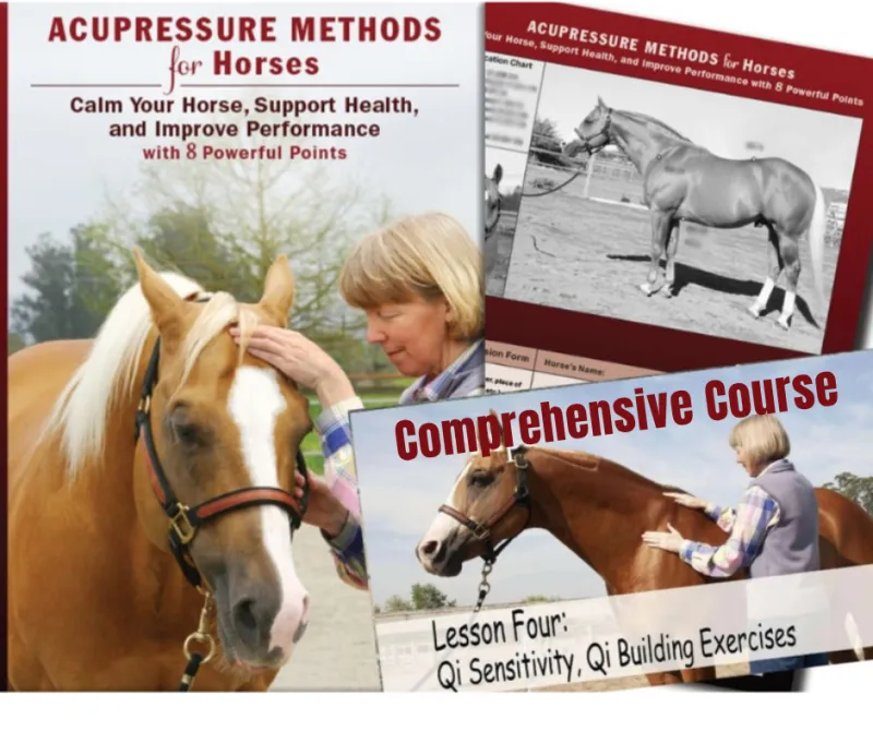 Comprehensive Online Course, Printed Book and Chart