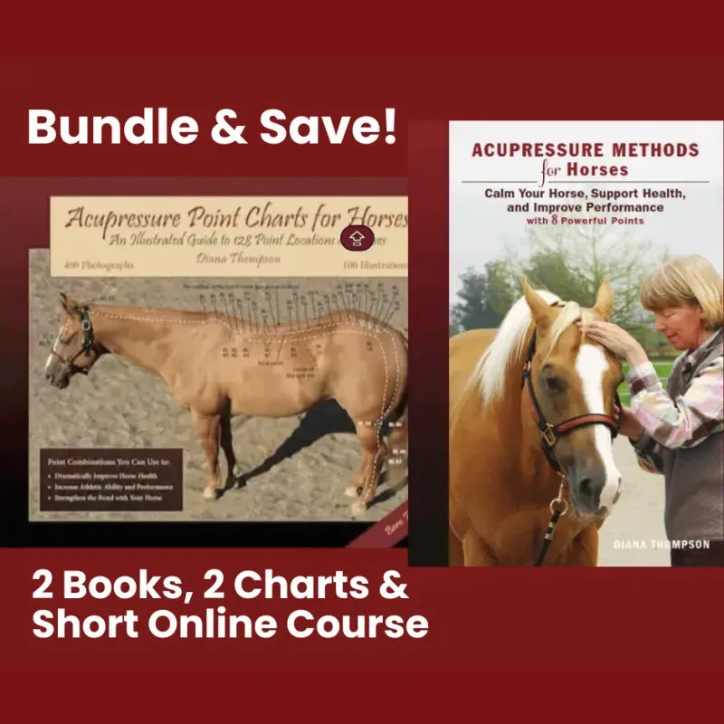 Bundle & Save!