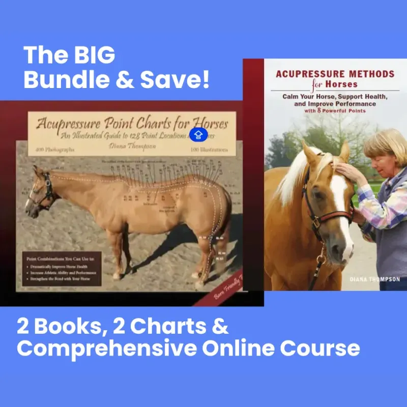 BIG Bundle & Save!
