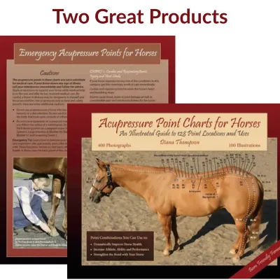 Acupressure Point Charts for Horses book + 6-Page Laminated Chart