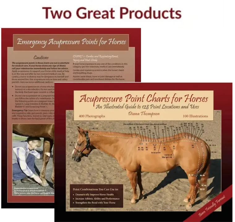 Acupressure Point Charts for Horses book + 6-Page Laminated Chart