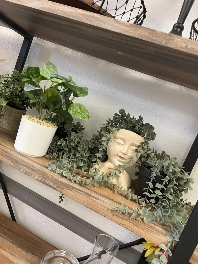 🌿 Greenery Accent Decor Set