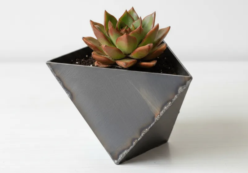Succulent Planter