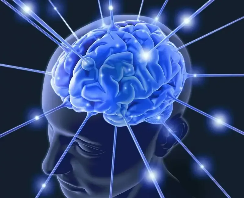 Brain Health