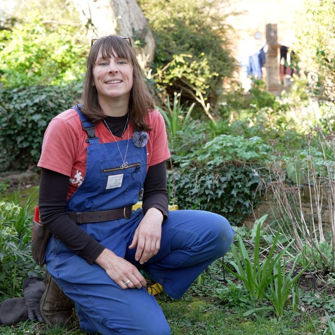 How To Create a Low Maintenance Wildlife Garden