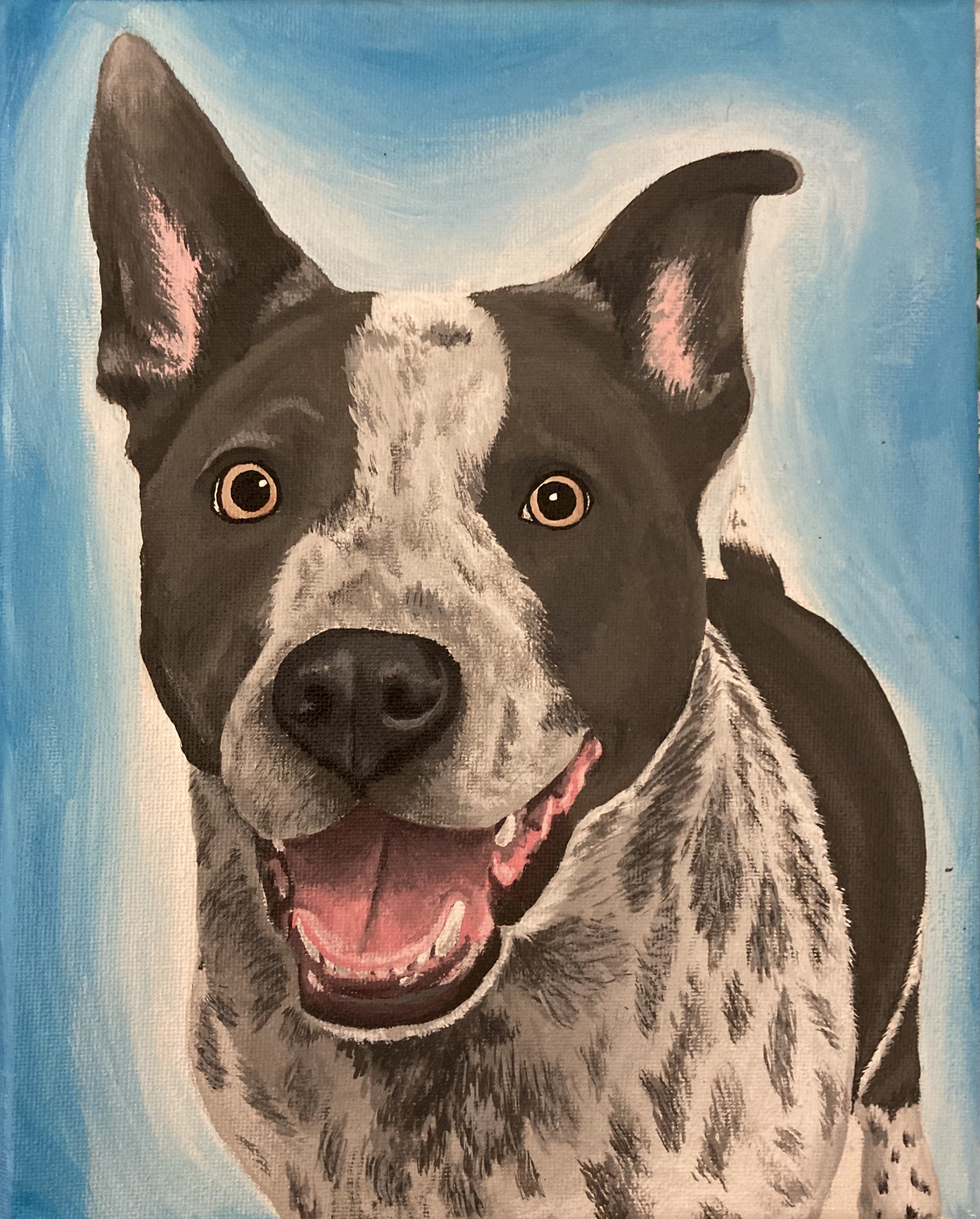 Pet Portrait