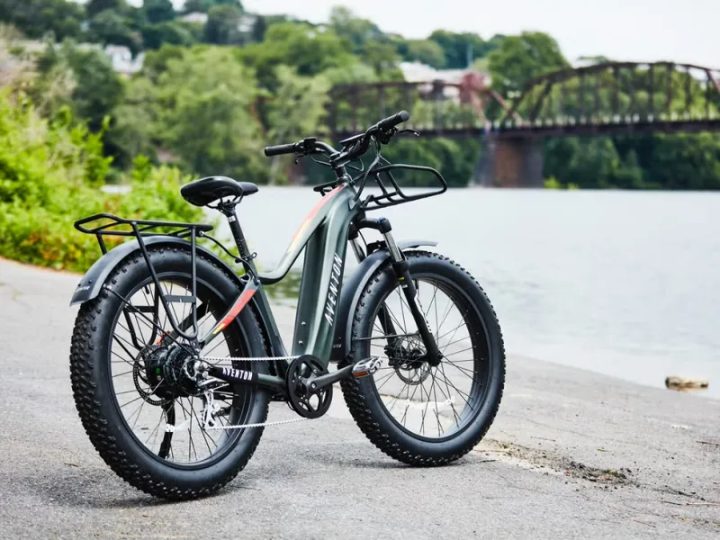 Fat Tire Bikes