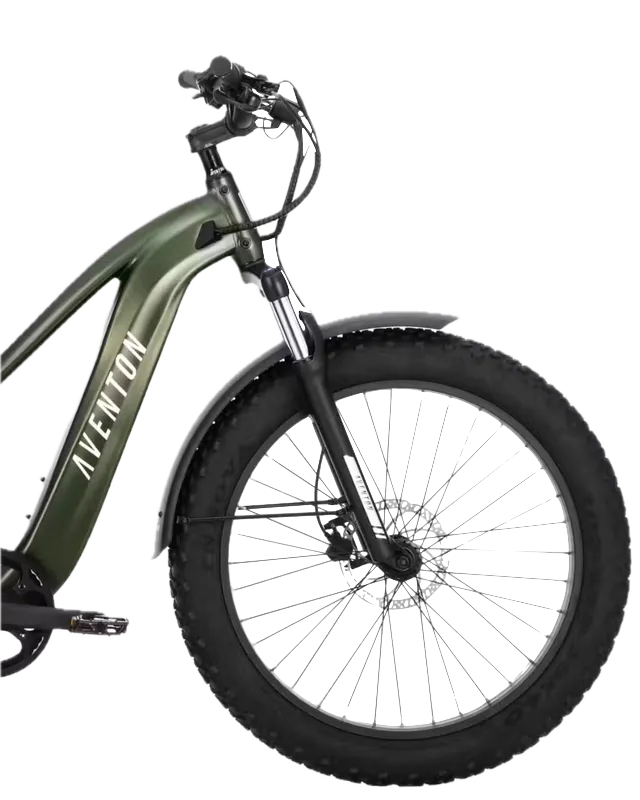Ebikes