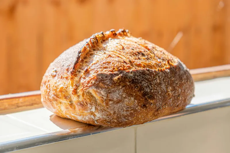 Sourdough $10 Loaf