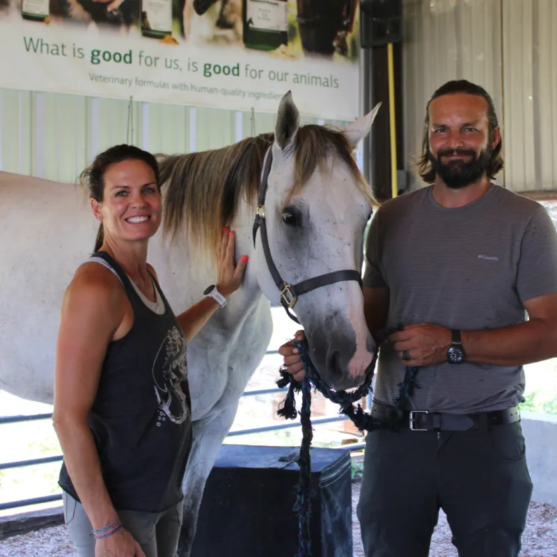 Animal Chiropractic 101 Audit