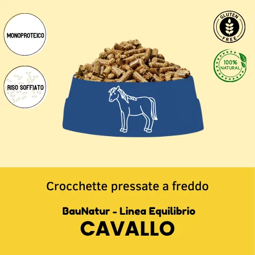 BauNatur - Linea Equilibrio  Cavallo