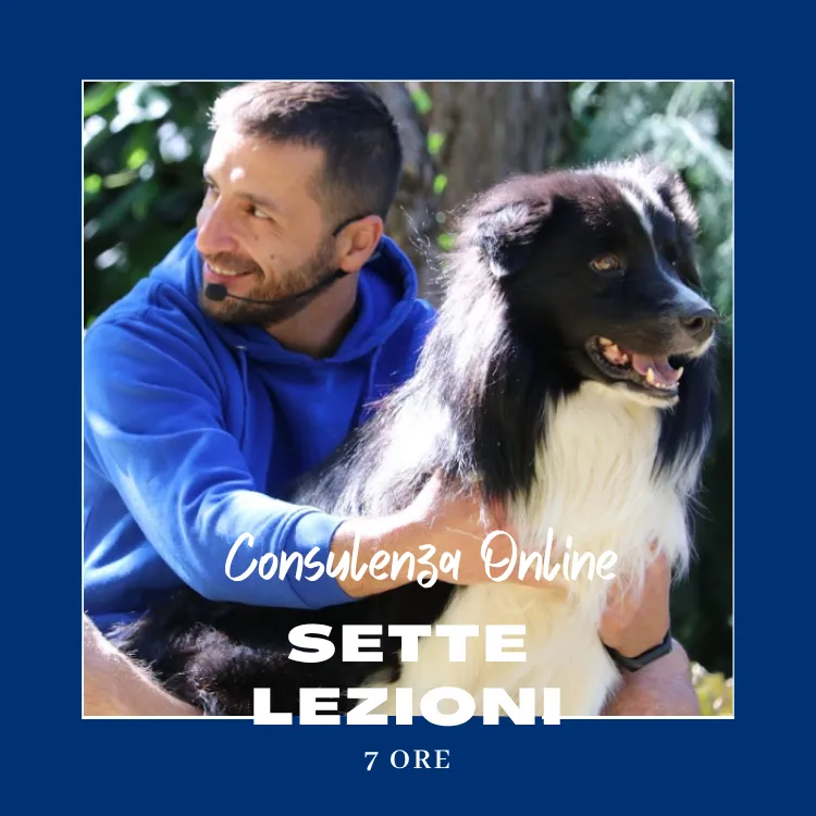 Percorso Individuale online di 7 lezioni