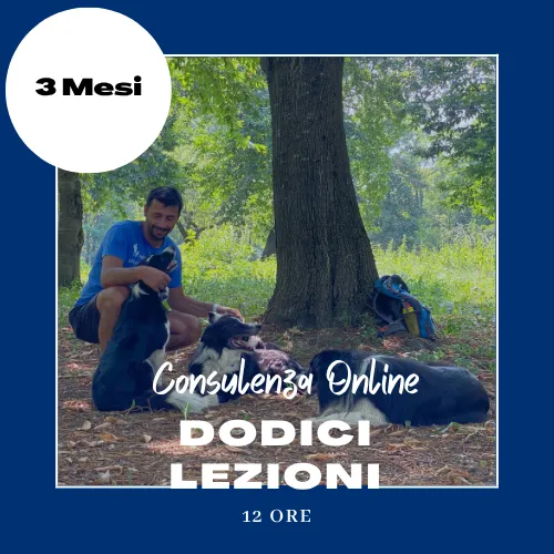 Percorso Individuale online di 12 lezioni