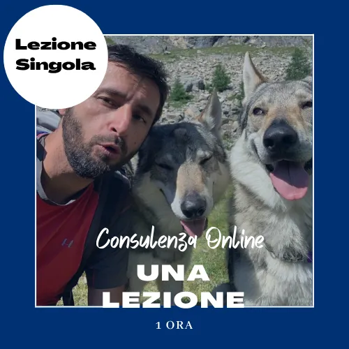 Lezione Individuale online singola
