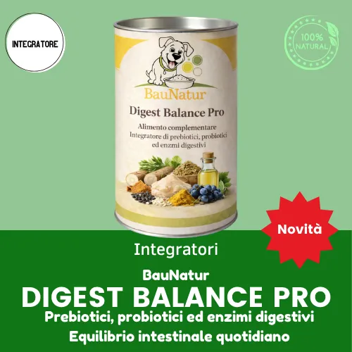 Digest Balance Pro 