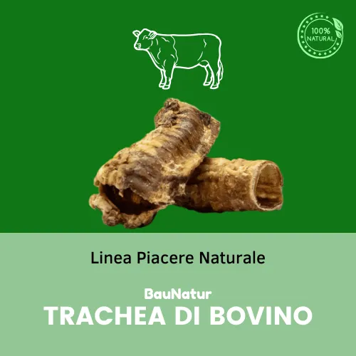 BauNatur - Trachea di Bovino