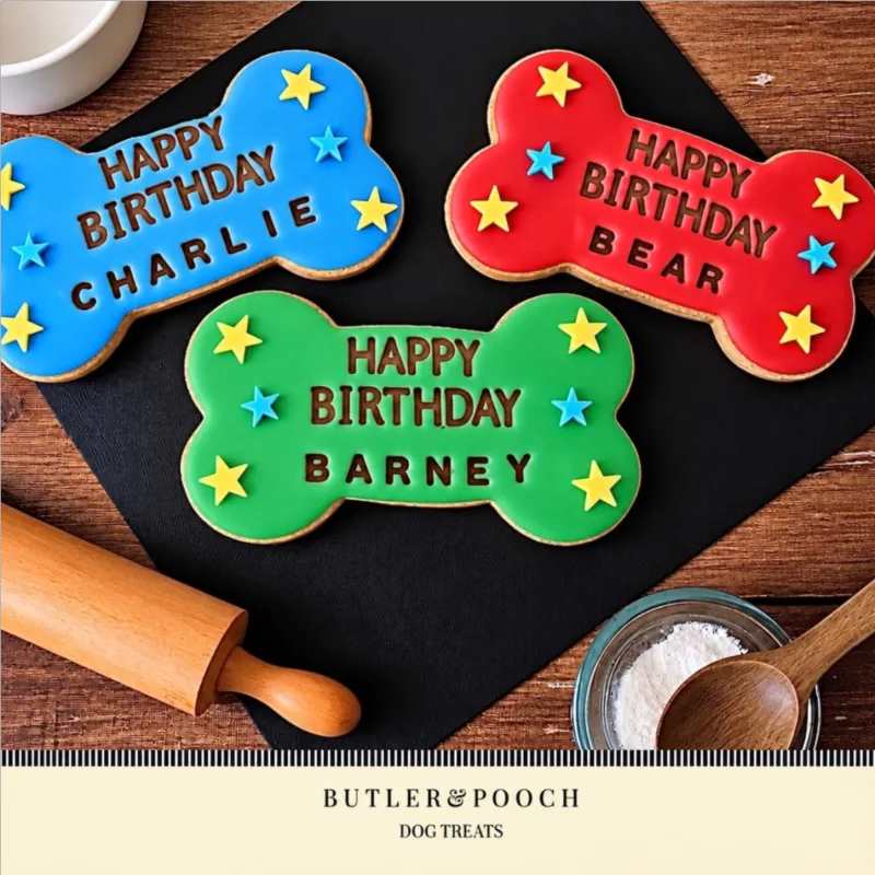 Large Birthday Biscuit Bone Set - Box of 3