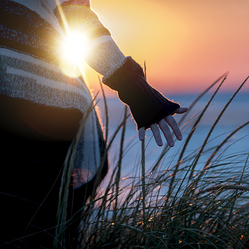 Reiki Training