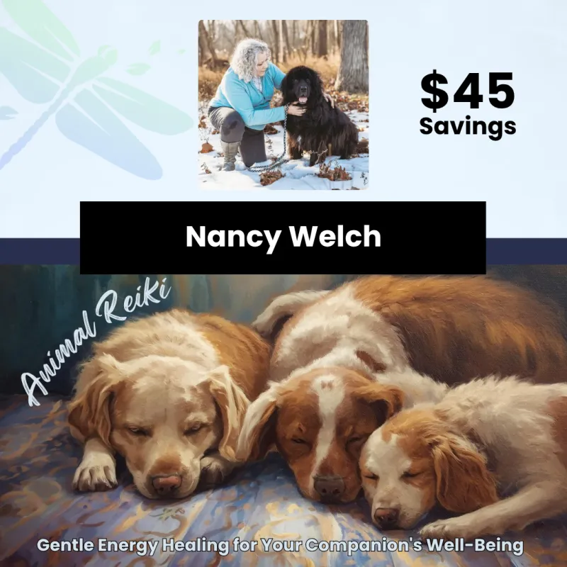 Animal Reiki (3-Session Package) with Nancy Welch