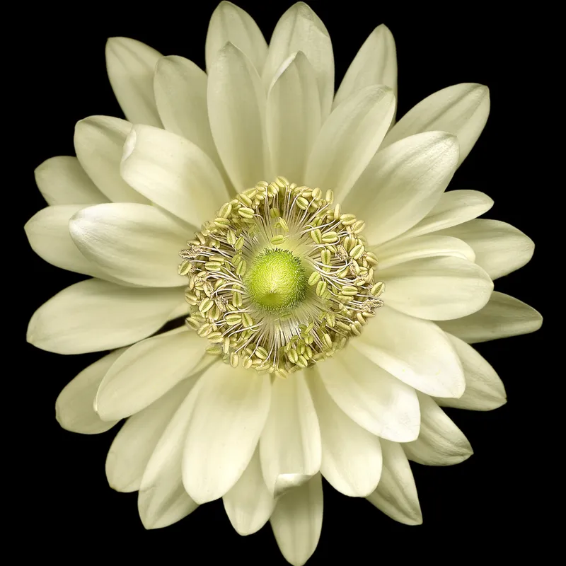 15. Power of the Soul