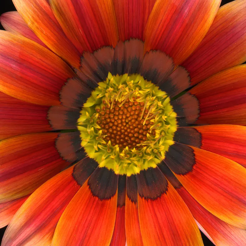 60. Flames of Enlightenment