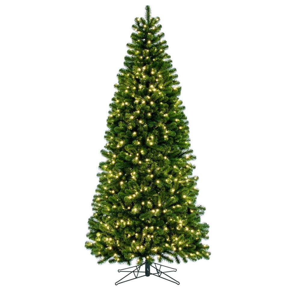 Outdoor Deluxe Sequoia Tree 7.5' x 42" 5mm Warm White