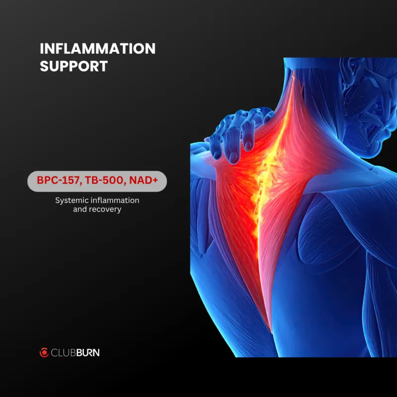 Inflammation Support